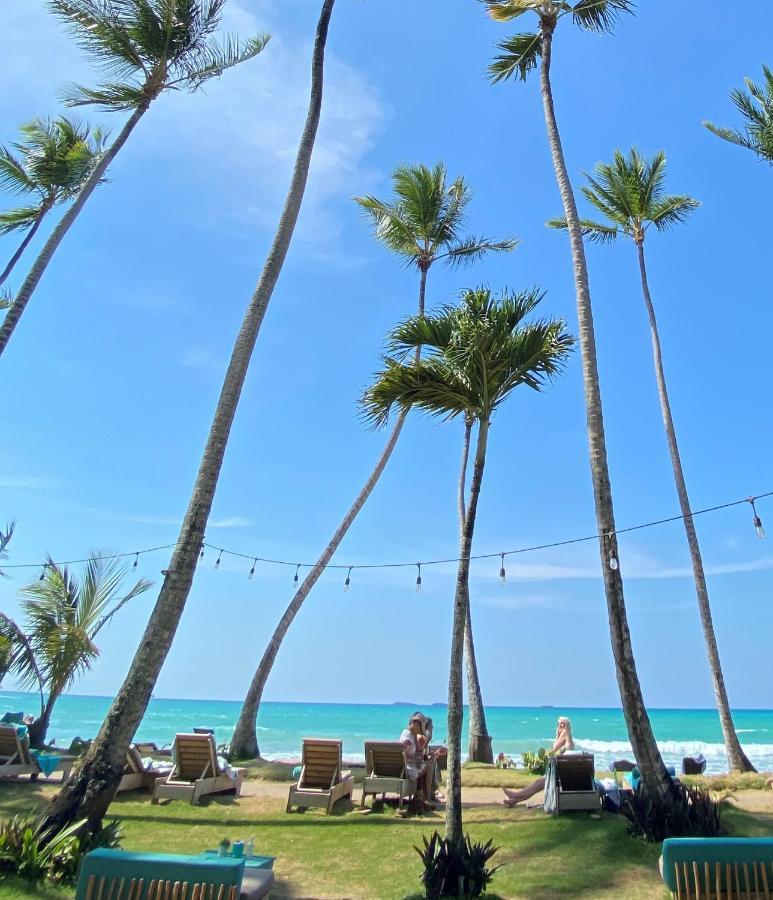 El Mosquito Boutique Hotel Playa Bonita Лас-Терренас Екстер'єр фото