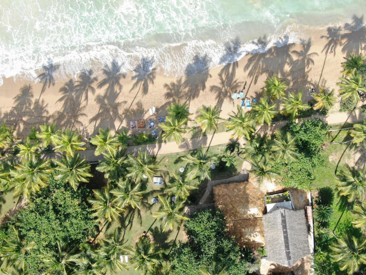 El Mosquito Boutique Hotel Playa Bonita Лас-Терренас Екстер'єр фото